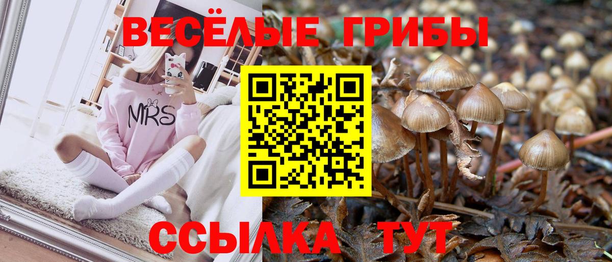 Псилоцибиновые грибы Magic Shrooms Кашира